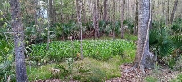 2160 Nicholas David Path Photo 67