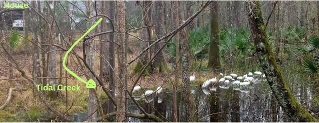 2160 Nicholas David Path Photo 8