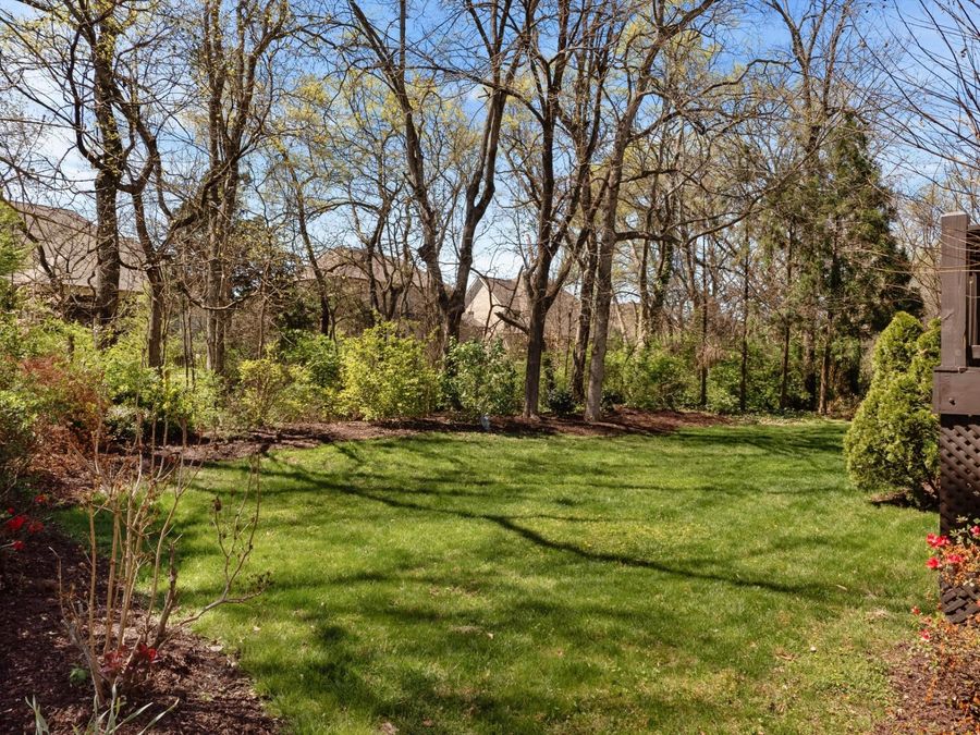 Property Image 50