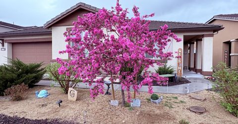 6150 Red Stable Road, Sparks, NV 89436 Photo