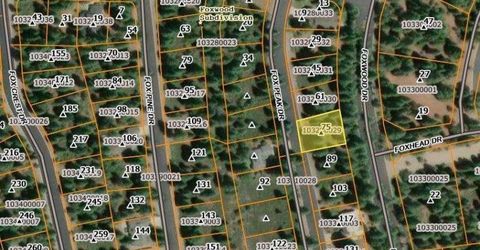 75 Fox Peak Dr, Westwood, CA 96137 Photo