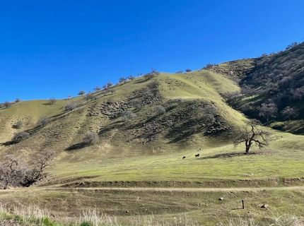 20625 Sarazen Pl, Patterson, CA 95363 Photo