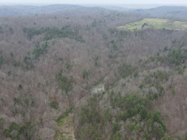 899 Morning Glory Hollow Road , Helenwood, TN 37755