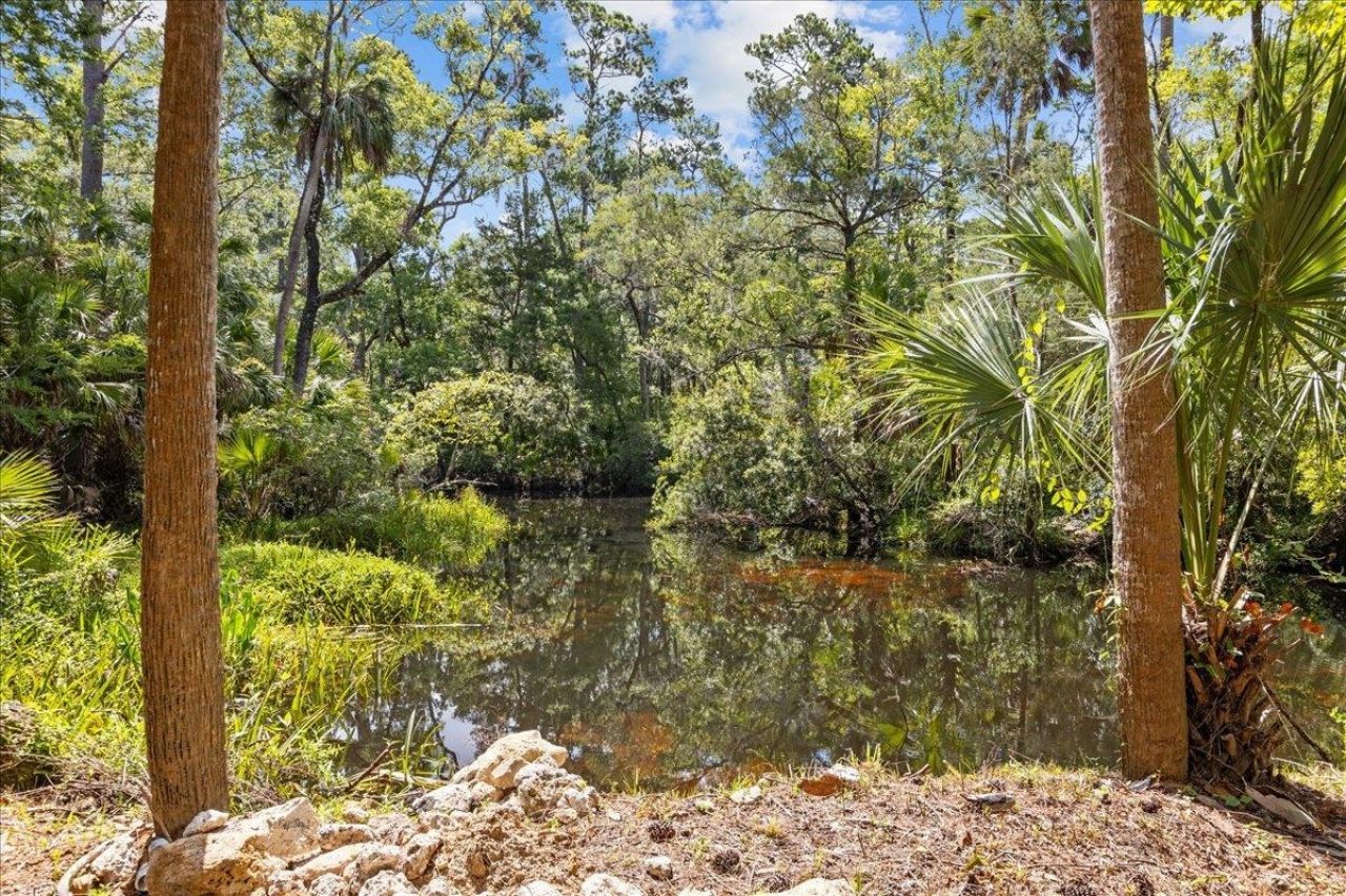 1334 Jr. Howell Road , Steinhatchee, FL 32359 Photo