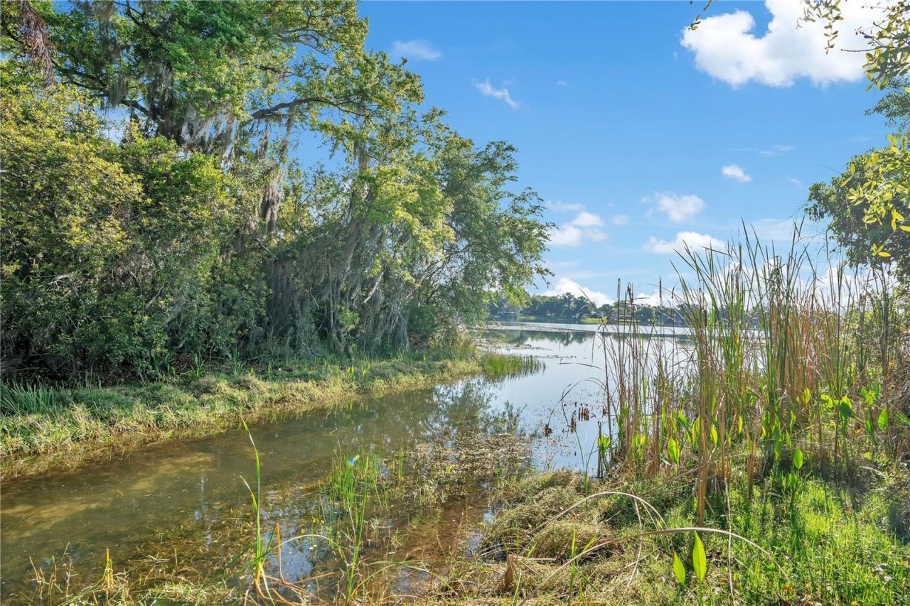 4610 Oak Cove Lane, Orlando, FL 32806 Photo