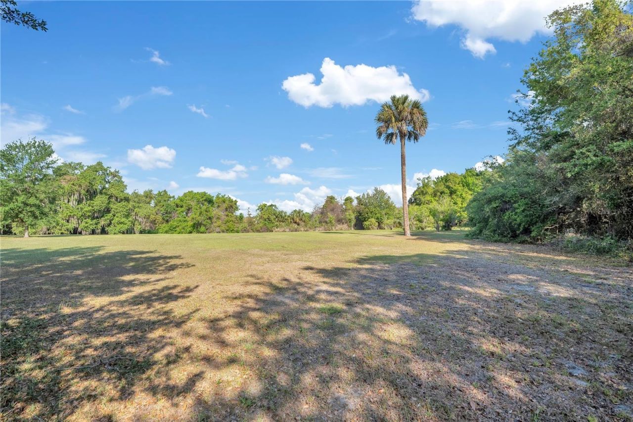 4610 Oak Cove Lane, Orlando, FL 32806 Photo