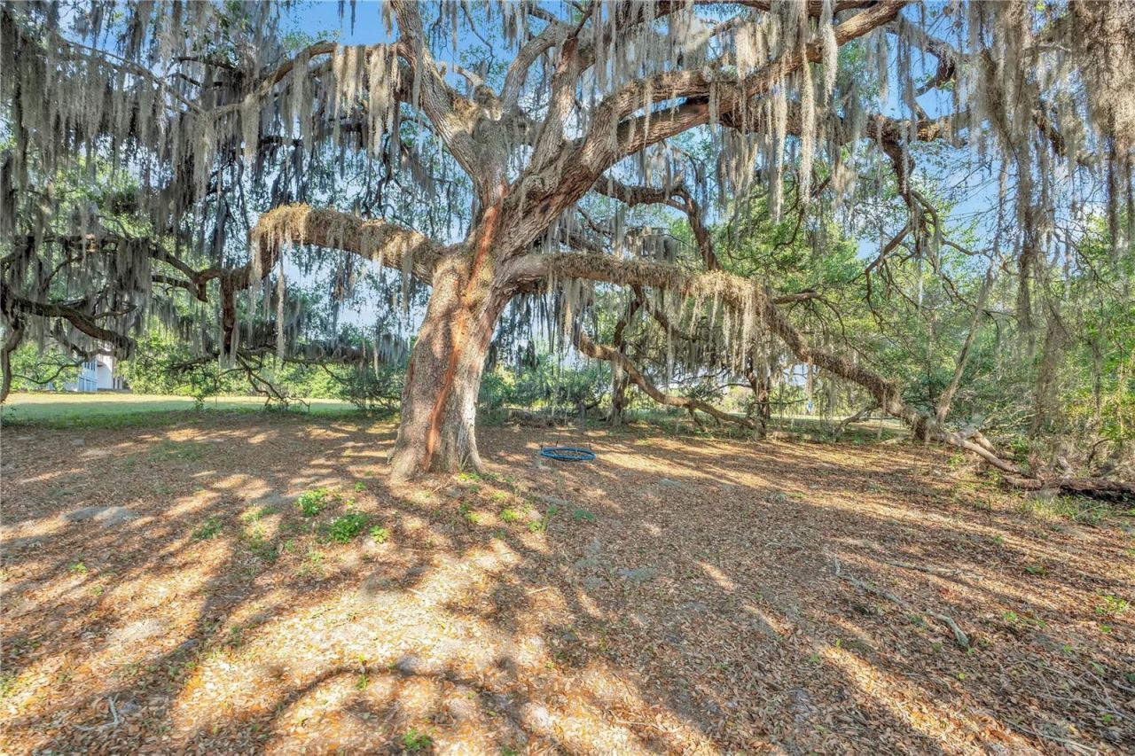 4610 Oak Cove Lane, Orlando, FL 32806 Photo