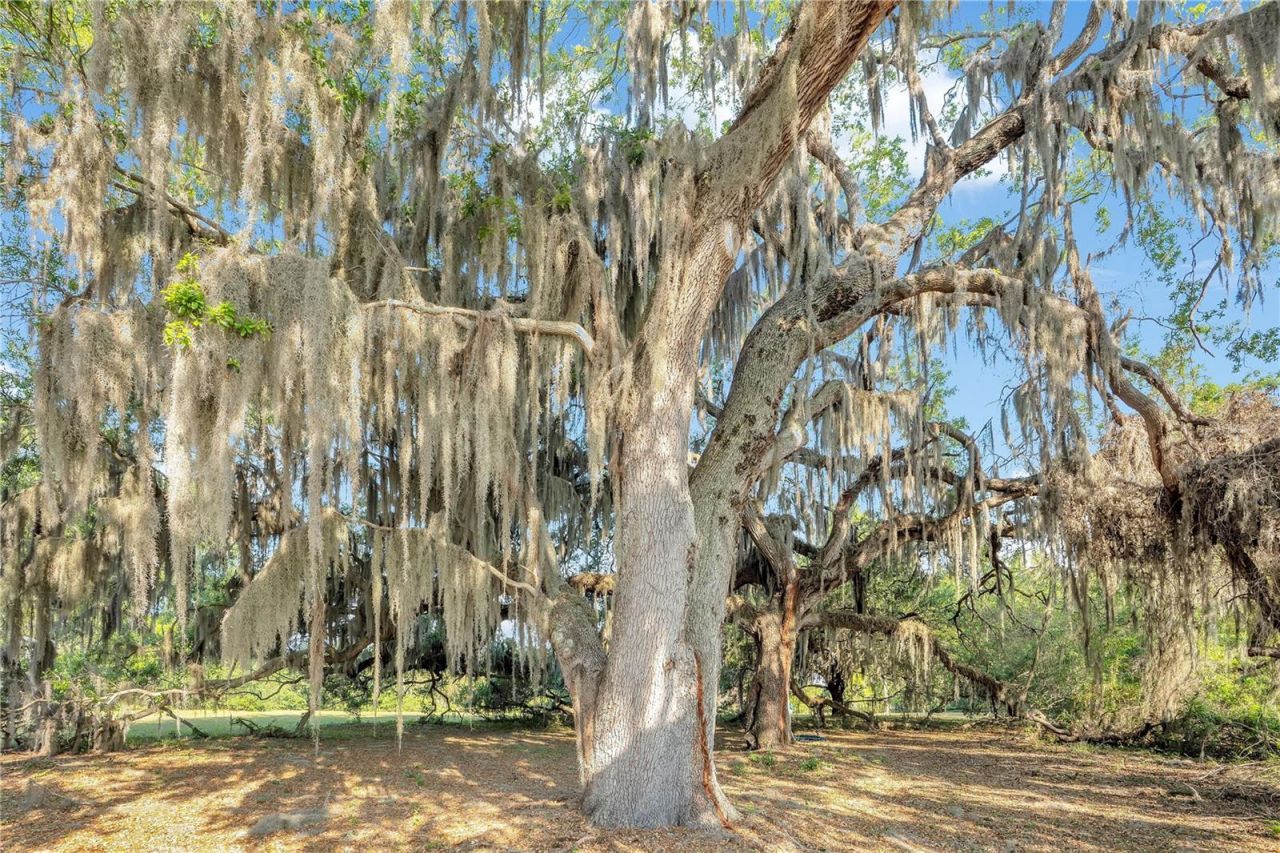 4610 Oak Cove Lane, Orlando, FL 32806 Photo