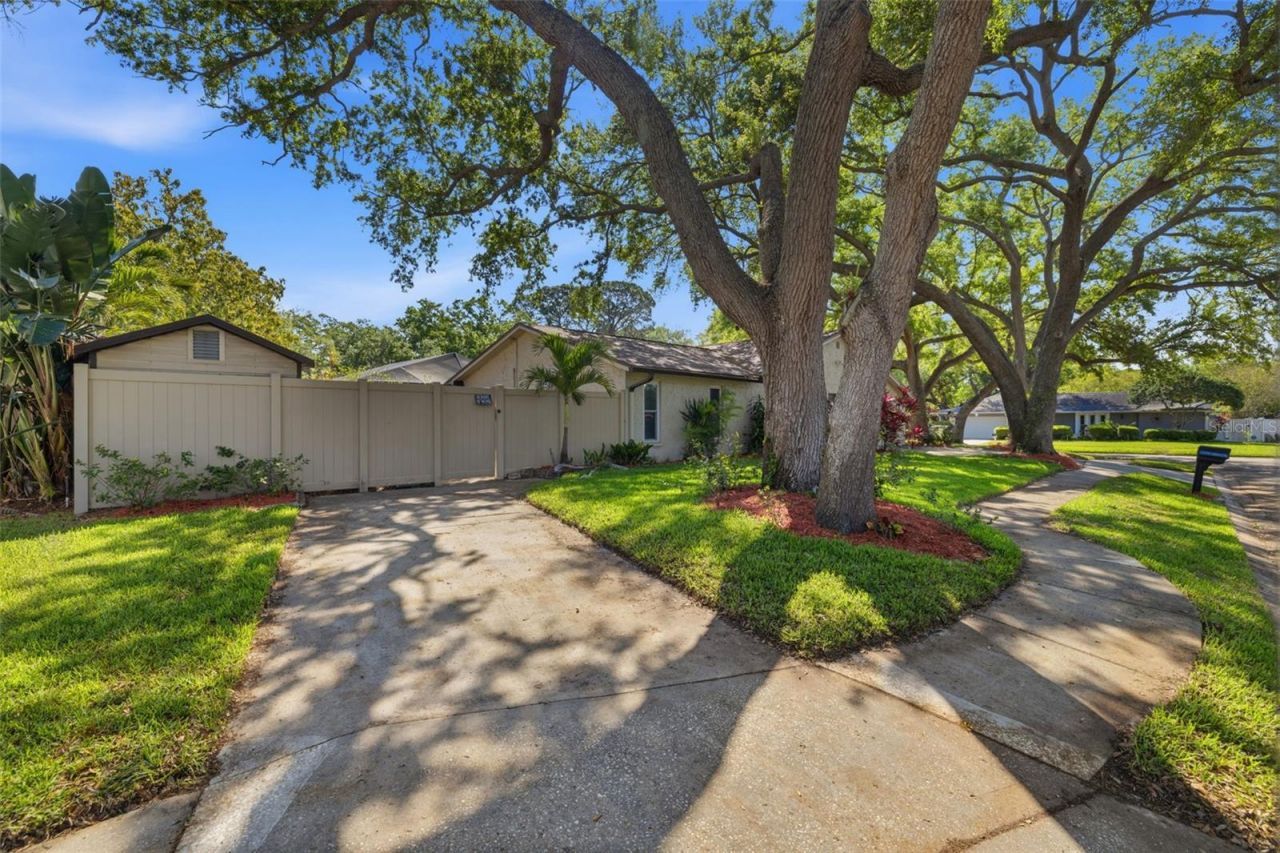 2240 Willowbrook Drive, Clearwater, FL 33764 Photo