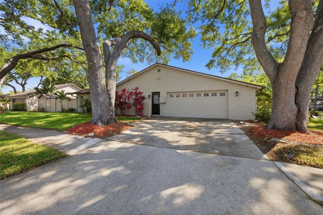 2240 Willowbrook Drive, Clearwater, FL 33764 Photo