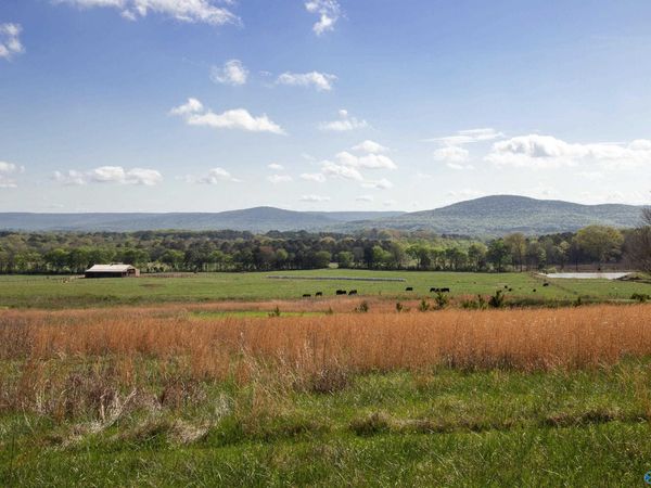 16.6 Acres Dug Hill Road, Brownsboro, AL 35741