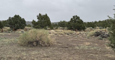 2020 Rocking Horse Road, Gardnerville, NV 89410 Photo