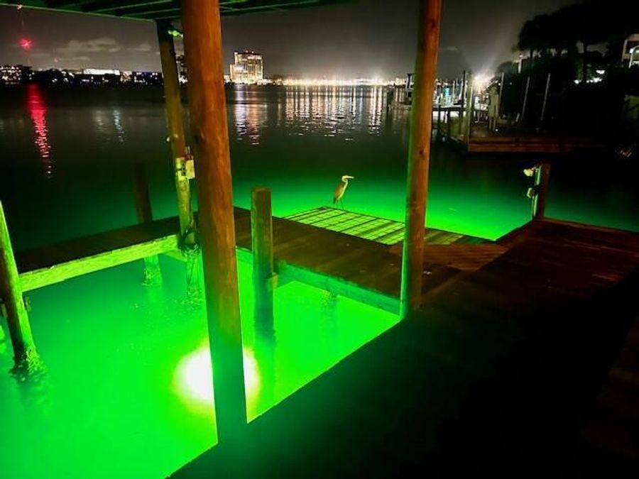 Property Image 63