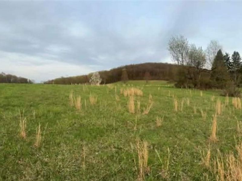 14528 Sprucevale Rd, East Liverpool, OH 43920 Photo 8