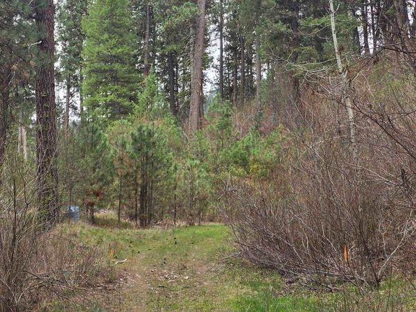 39 Beaver Creek, Boise, ID 83716