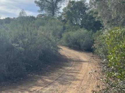 6600 Prospectors Rd, Lotus, CA 95651 Photo