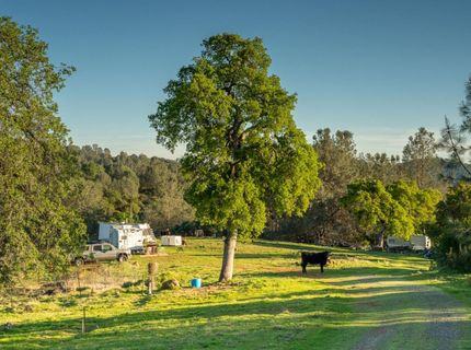 21041 Dalzell Rd, Smartville, CA 95977 Photo