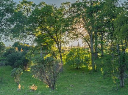 21041 Dalzell Rd, Smartville, CA 95977 Photo