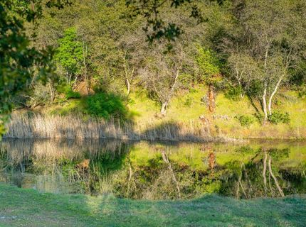 21041 Dalzell Rd, Smartville, CA 95977 Photo