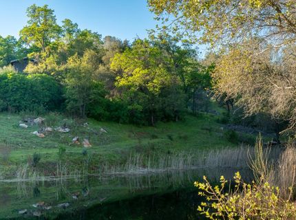 21041 Dalzell Rd, Smartville, CA 95977 Photo