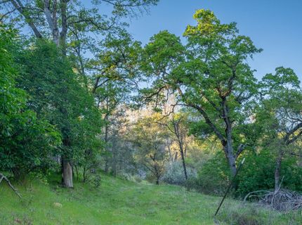 21041 Dalzell Rd, Smartville, CA 95977 Photo
