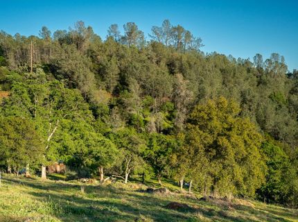 21041 Dalzell Rd, Smartville, CA 95977 Photo