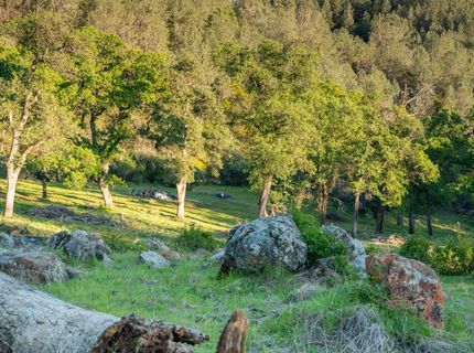 21041 Dalzell Rd, Smartville, CA 95977 Photo