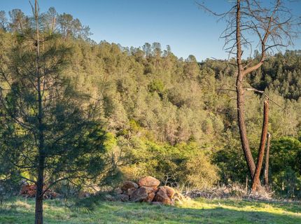 21041 Dalzell Rd, Smartville, CA 95977 Photo