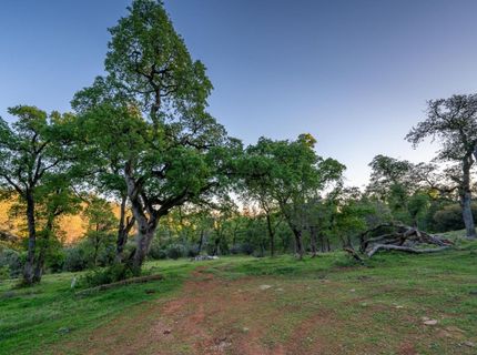 21041 Dalzell Rd, Smartville, CA 95977 Photo