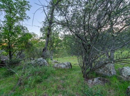 21041 Dalzell Rd, Smartville, CA 95977 Photo