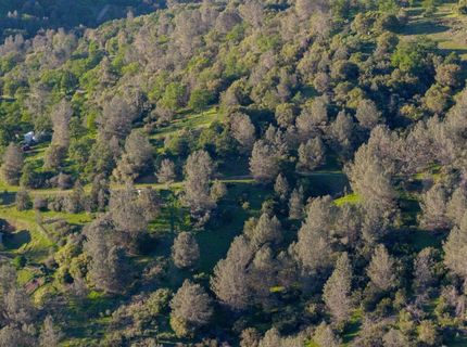 21041 Dalzell Rd, Smartville, CA 95977 Photo