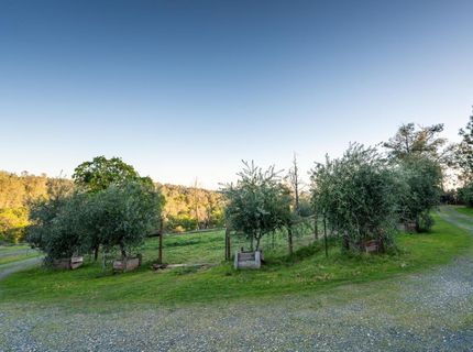 21041 Dalzell Rd, Smartville, CA 95977 Photo