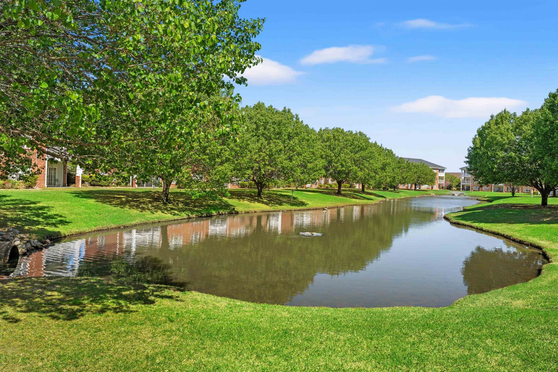 3923 Gladiola Ct. Photo 28