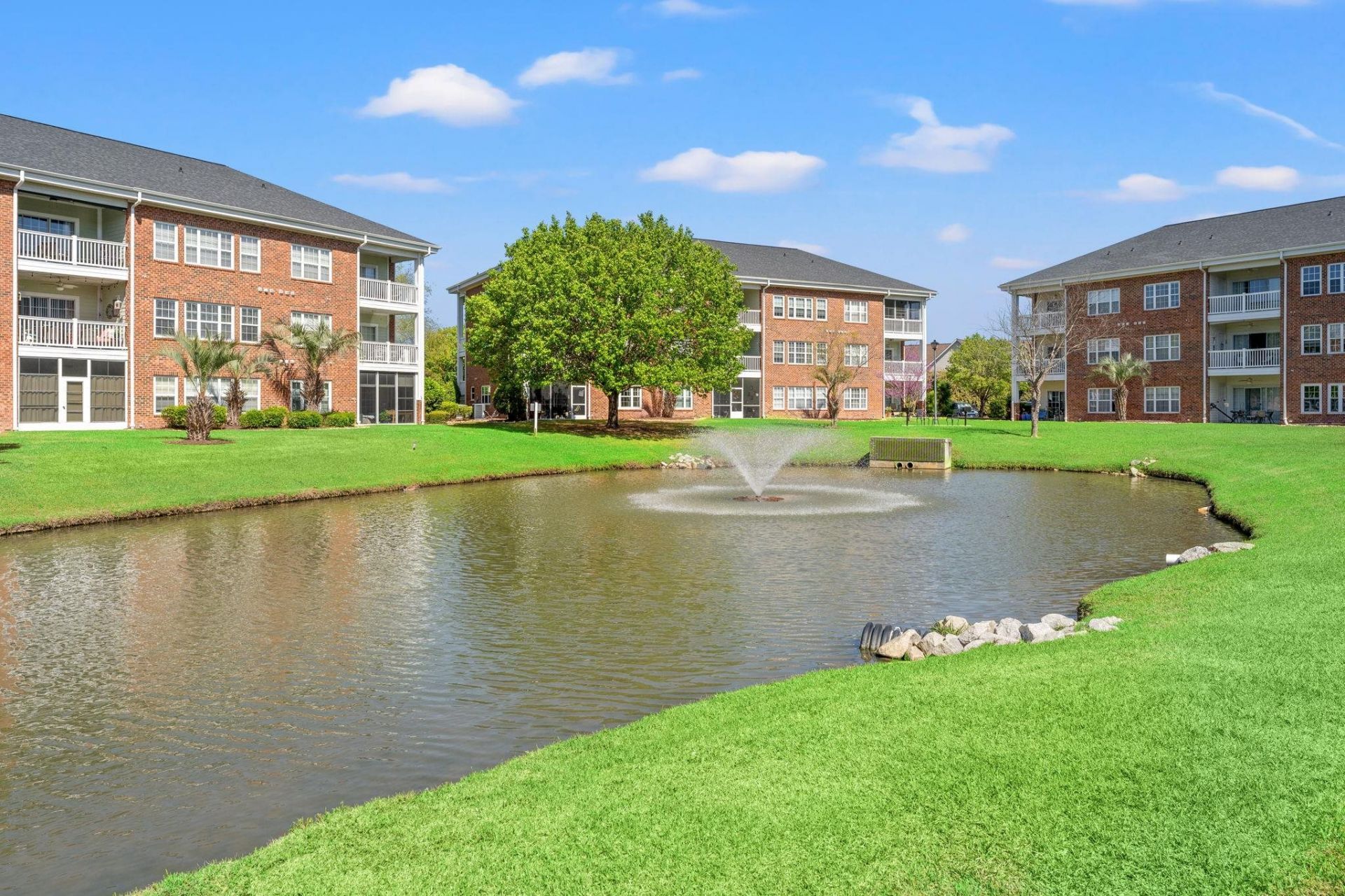 3923 Gladiola Ct. Photo 29