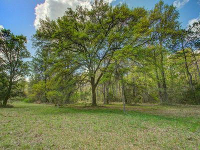 5865 Octavia, Ravenel, SC 29470