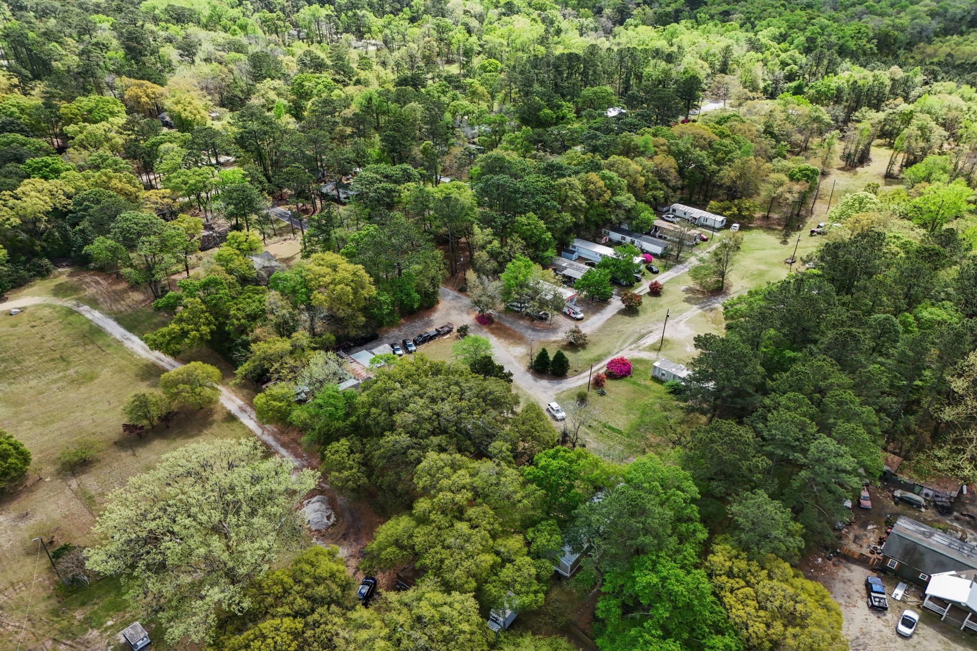 5865 Octavia Photo 10