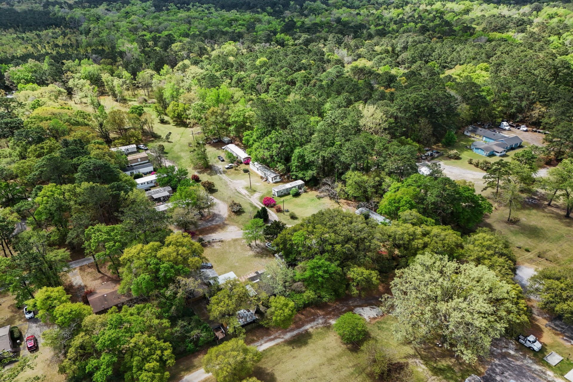 5865 Octavia Photo 11