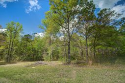 5865 Octavia photo 4