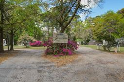 5865 Octavia photo 4