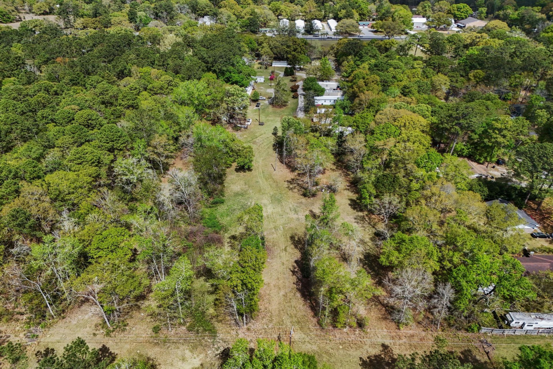 5865 Octavia Photo 4