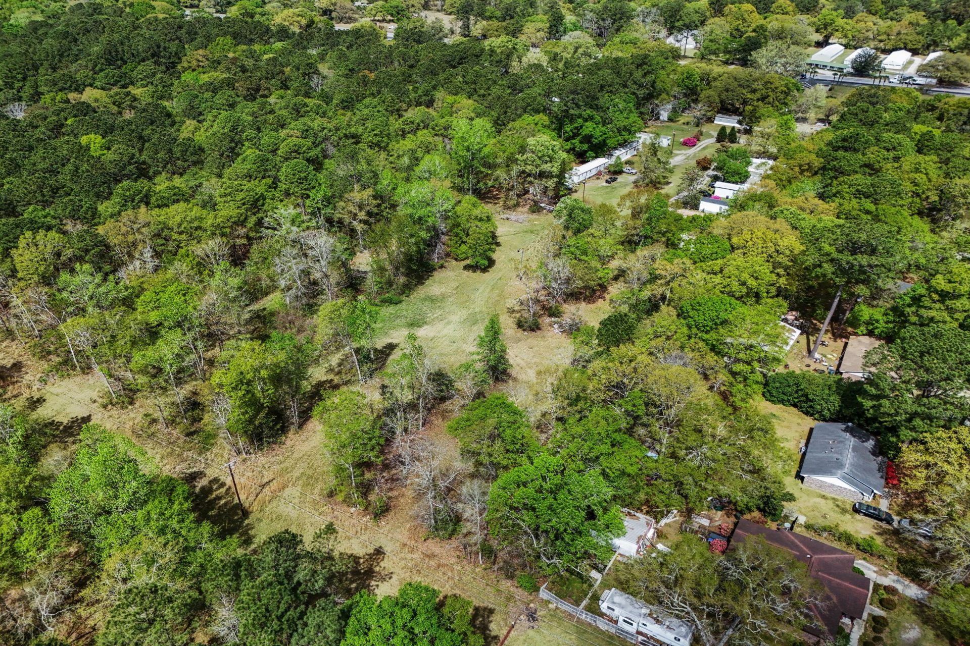 5865 Octavia Photo 5