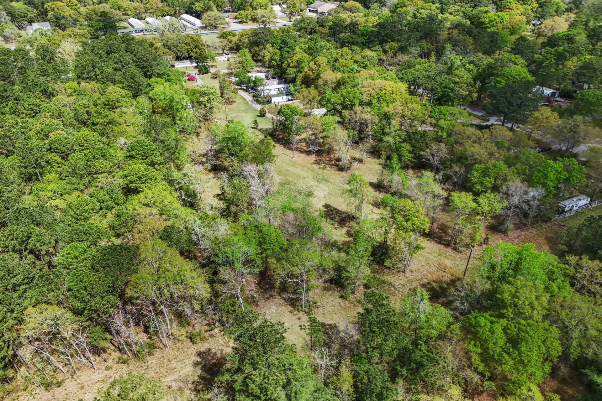 5865 Octavia Photo 6