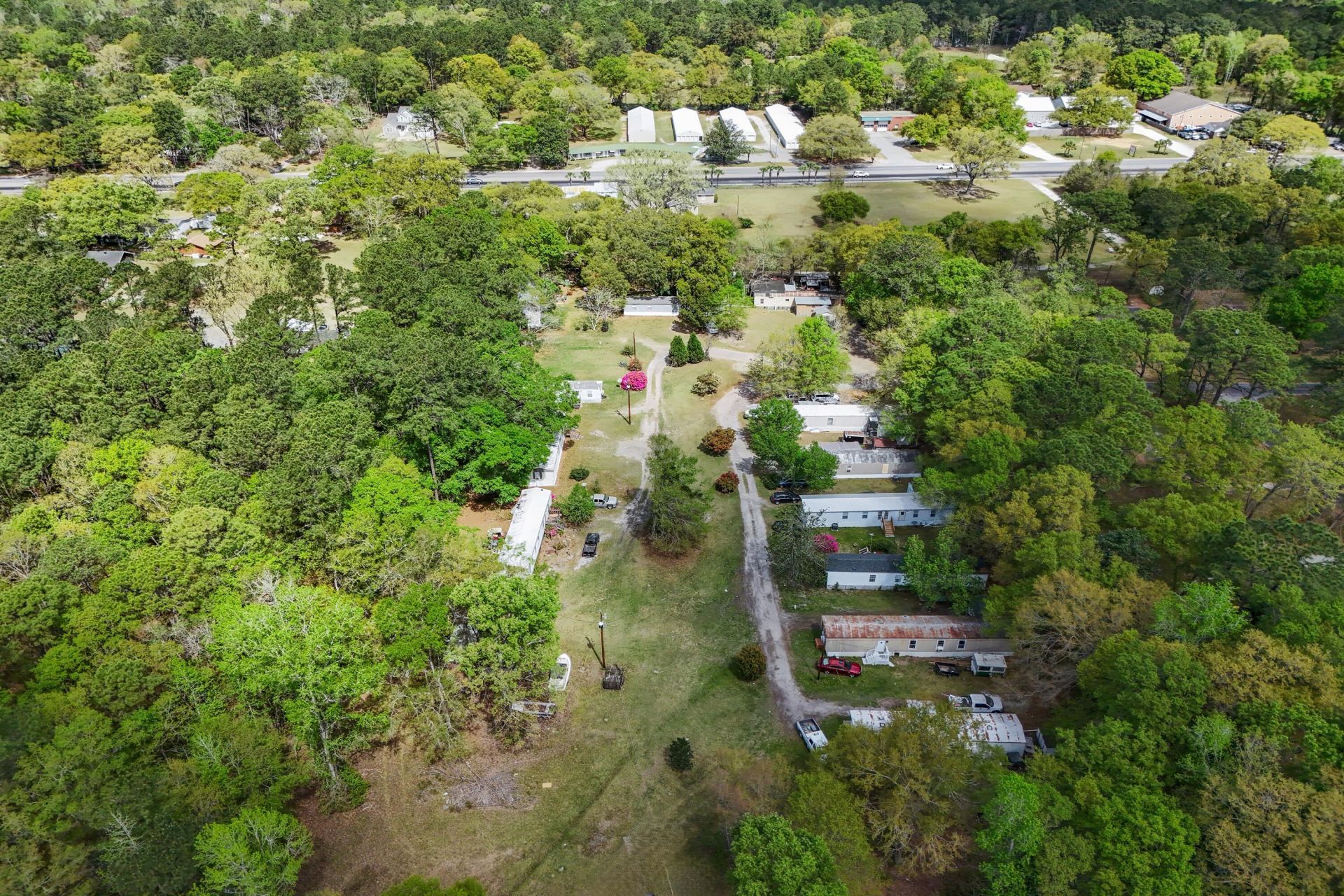 5865 Octavia Photo 7