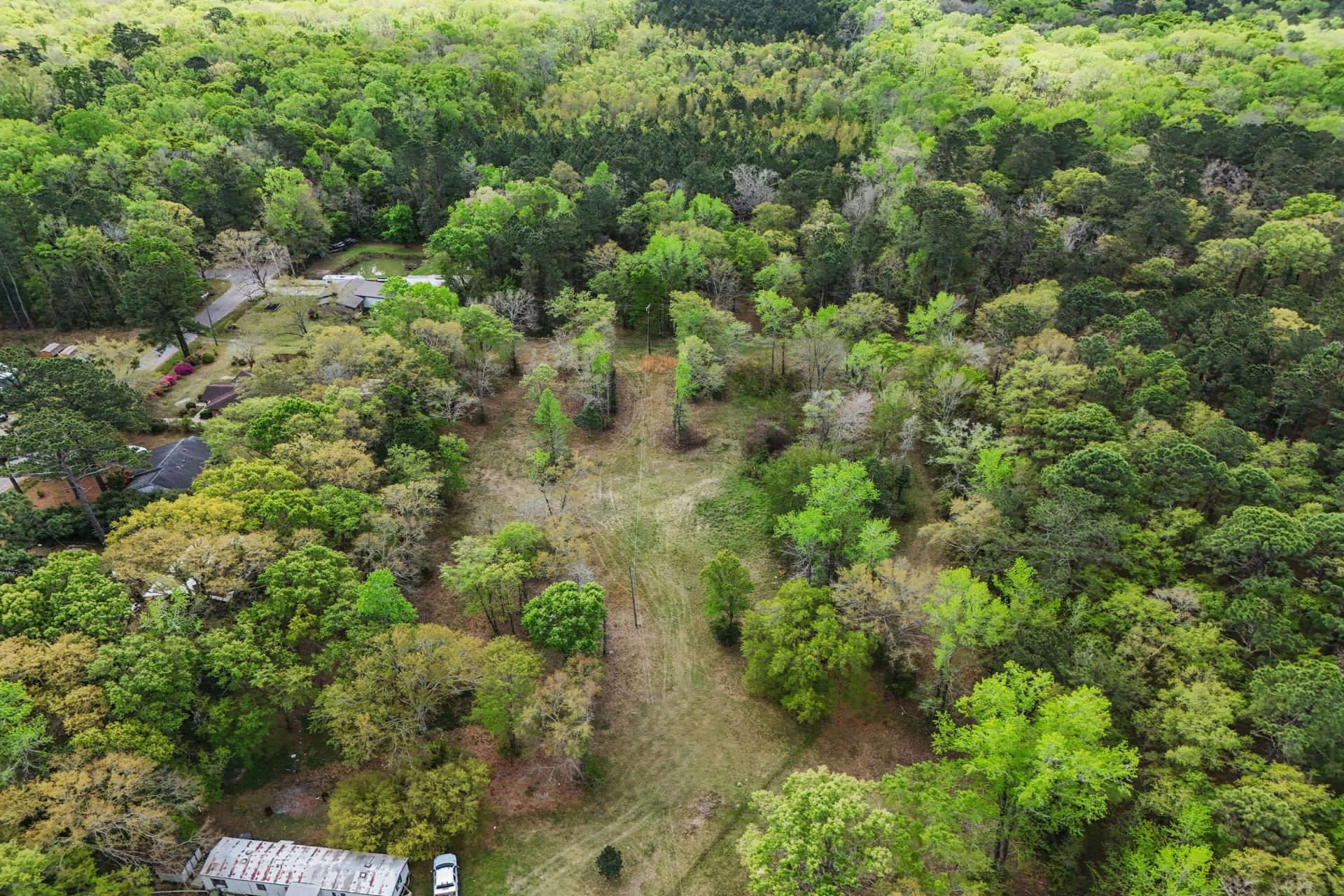 5865 Octavia Photo 8