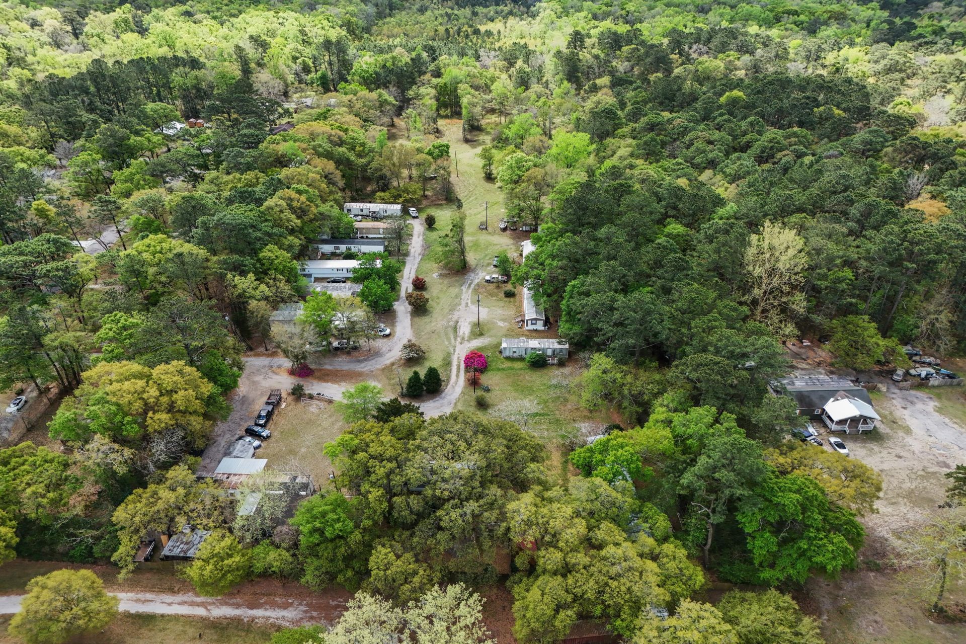 5865 Octavia Photo 9