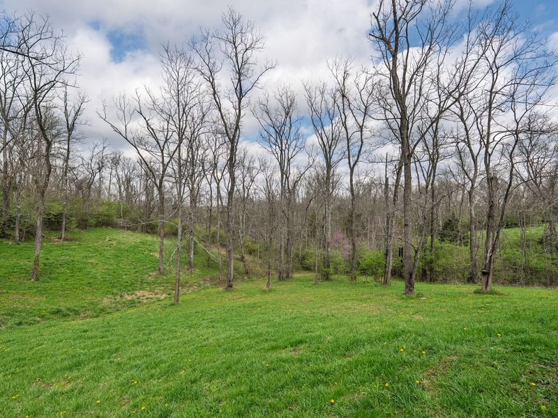 1500 Heathen Ridge Road, Crittenden, KY 41030 Photo 23