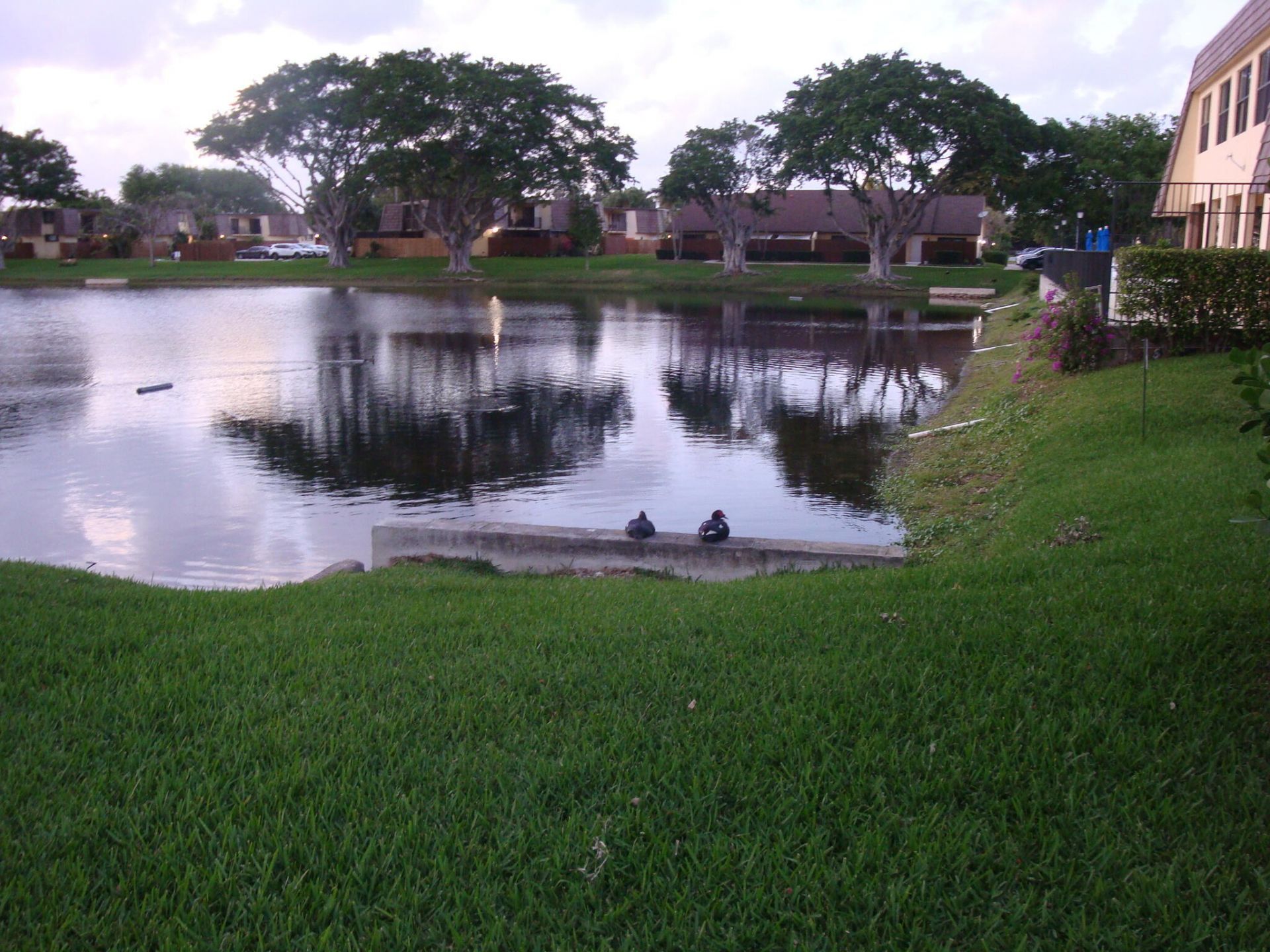 594 Springdale Circle, Unit 59-d, Palm Springs, FL 33461 Photo