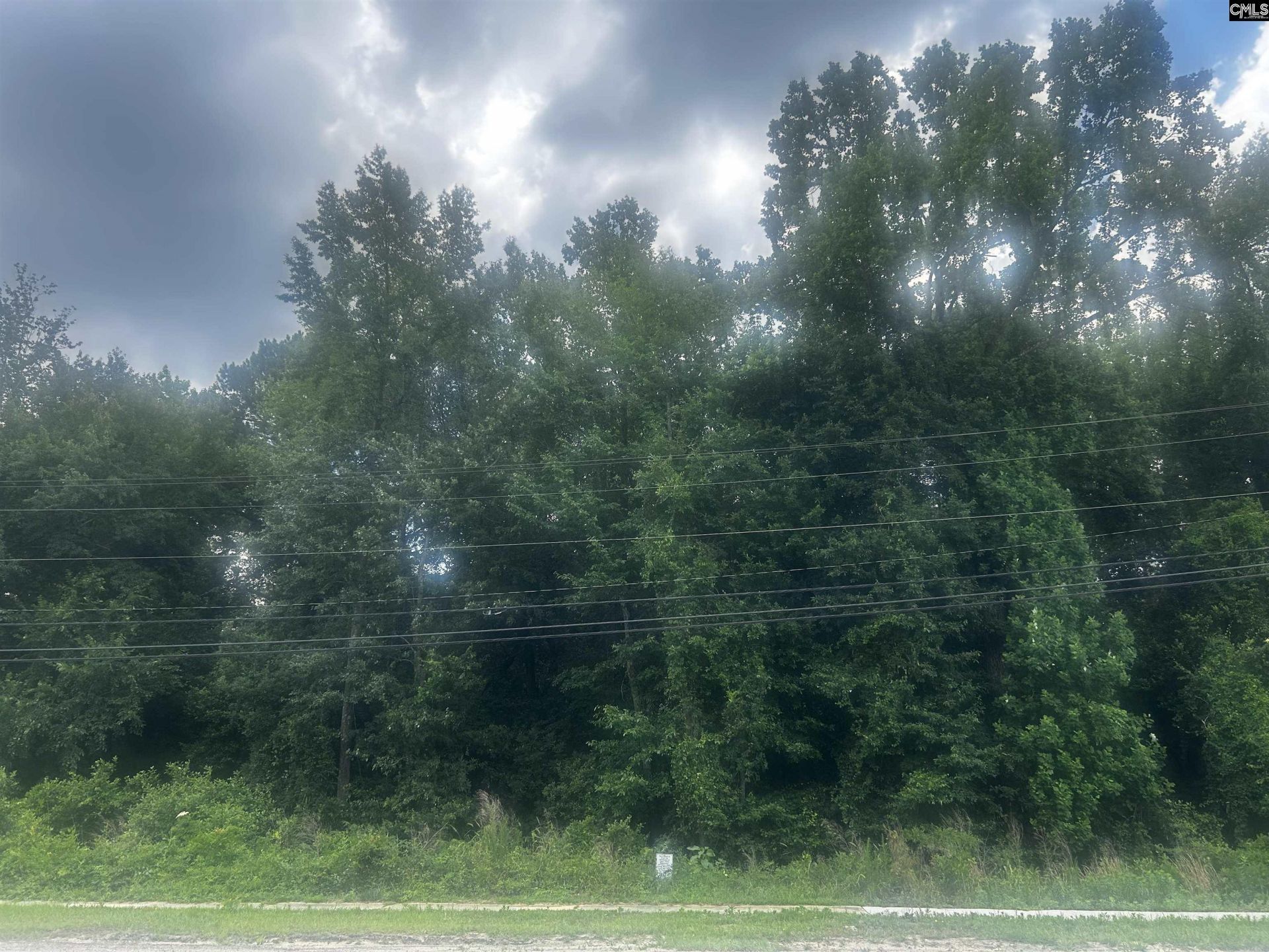 00 Frink Street Photo 17