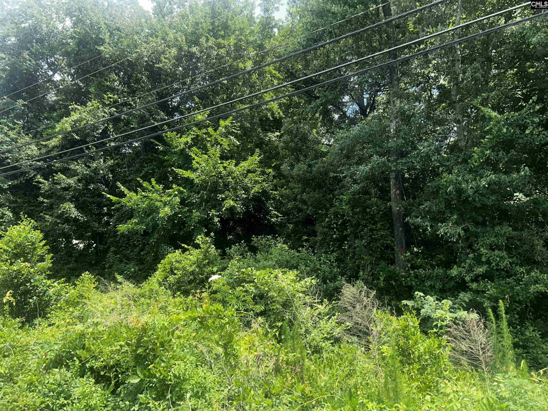 00 Frink Street Photo 5