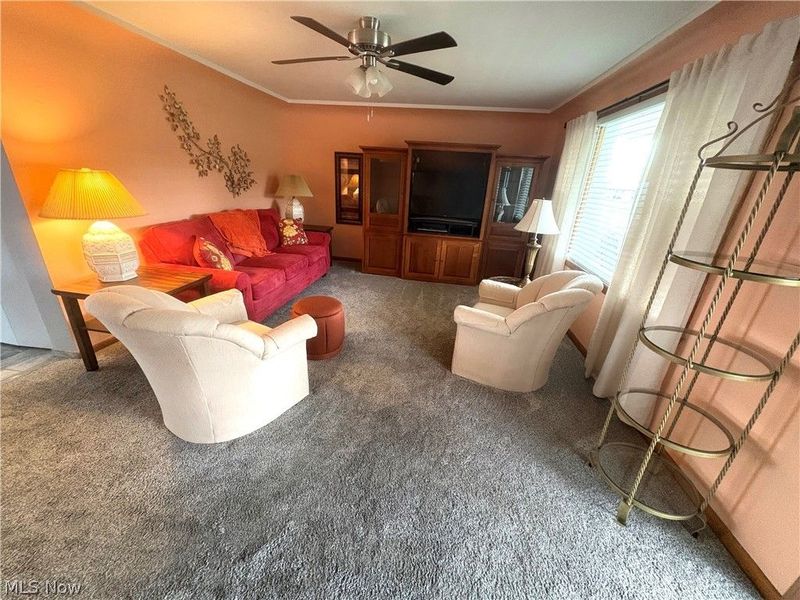 511 Edison Street, Struthers, OH 44471 Photo 3